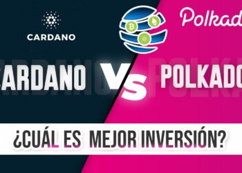 Polkadot vs. Cardano vs. Koinos: ¿Cuál es el mejor para ti?