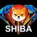 Shiba Inu (SHIB), mayor consumidor de gas ETH en aumento DeFi