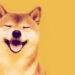 Dogecoin y Shiba Inu