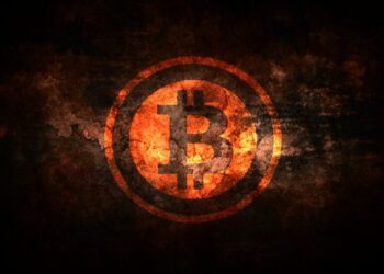 Los bitcoiners saben algo que seguramente tú no sabes