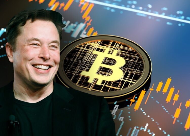 Elon Musk, dice que "no es posible" destruir las criptomonedas