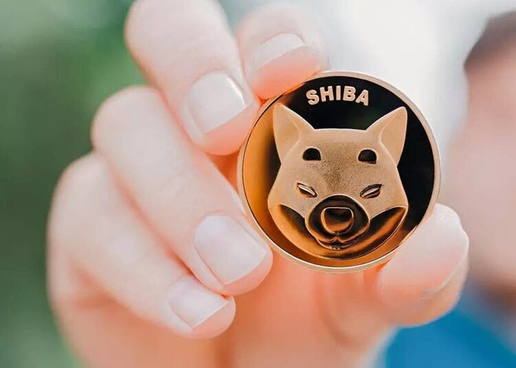 SHIBA INU se robo los corazones de los amantes de Floki