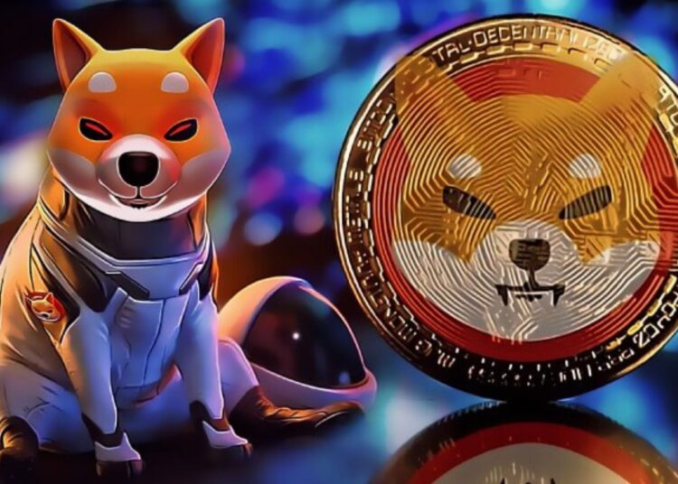 Toros Shiba Inu listos para despegar, buscan un aumento del 22%