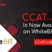 CryptoCat (CCAT) incluido en Crypto Exchange Whitebit