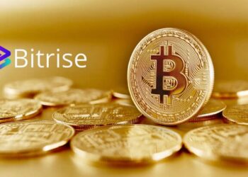 Babydoge sigue perdiendo tracción con Bitrise Coin