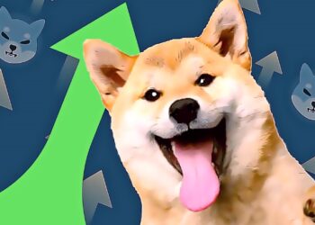 Shiba Inu (SHIB) aumentó 71,651,844% en los últimos 365 días