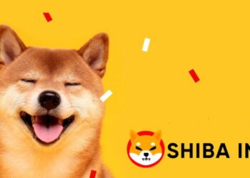 Shiba Inu fue la criptografía más popular en CoinMarketCap en 2021