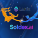 Soldex, el DEX construido por Solana se asocia con Larix