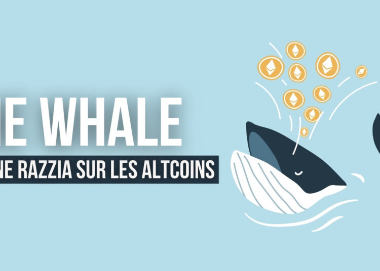 Ballena de ETH gasta $128M, ¿qué criptomonedas eligió?