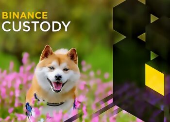 Binance Custody para apoyar a SHIB y otros