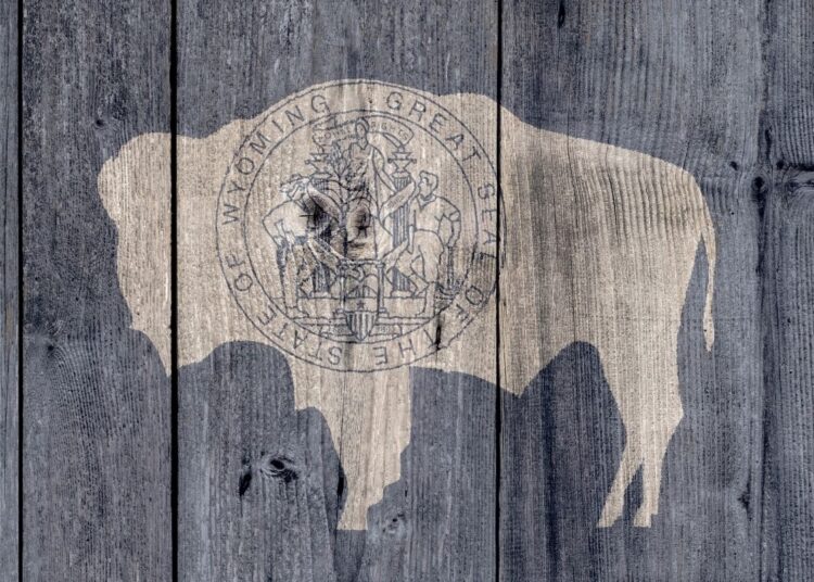 Wyoming, el estado de EEUU quiere lanzar su propia moneda estable