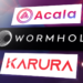 Acala y Karura se unen a Wormhole para tomar Polkadot