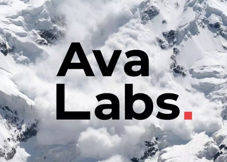 Ava Labs está recaudando $350 millones en un entorno confidencial