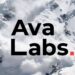 Ava Labs está recaudando $350 millones en un entorno confidencial