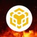 Binance destruye más de $770 millones en BNB en 19th Burn