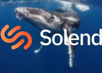 Protocolo Solend (SLND) está paralizado por la posición de una ballena