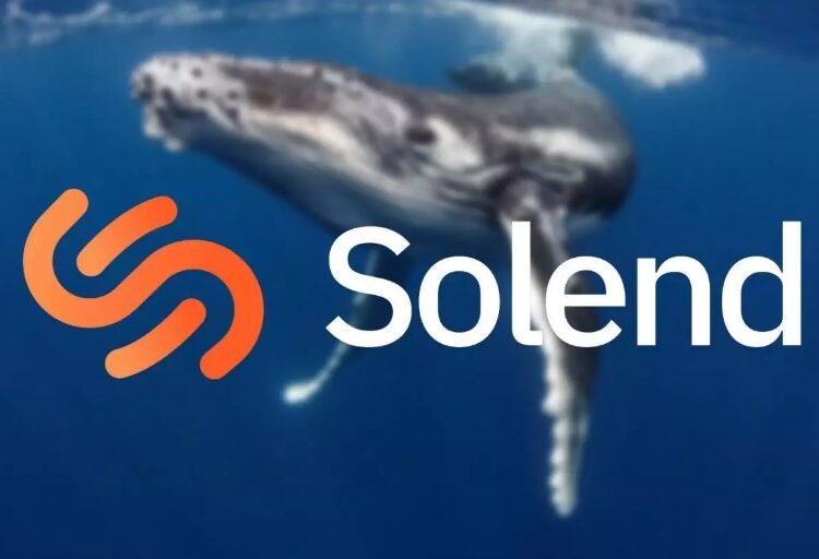 Protocolo Solend (SLND) está paralizado por la posición de una ballena