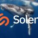 Protocolo Solend (SLND) está paralizado por la posición de una ballena